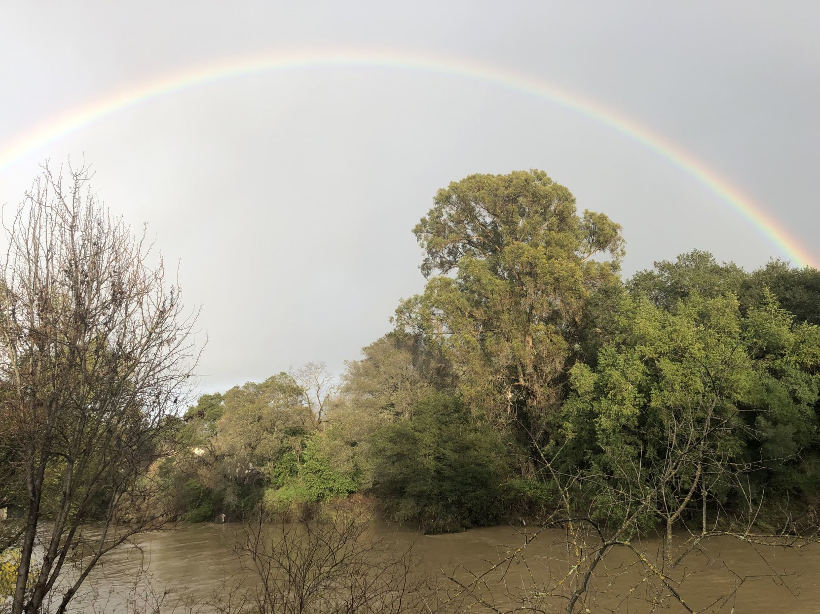 Rainbows in February
